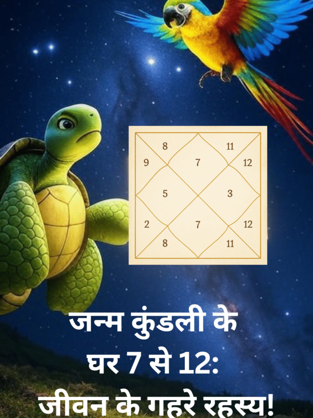 Janm Kundli Introduction – Part 3: आपकी कुंडली में भाव 7 से 12